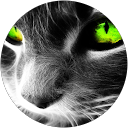 Fabrice Michniacki profile picture